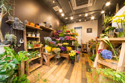 長崎でおすすめのお花屋さんまとめ 迷った時に頼れるお店はココ Pathee パシー